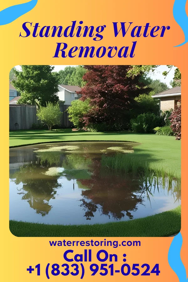 Standing Water Removal in New Deal, TX